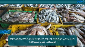 تحذير رسمي من الغذاء والدواء السعودية بشأن مخاطر بعض أنواع الأسماك.. تعرف عليها الآن